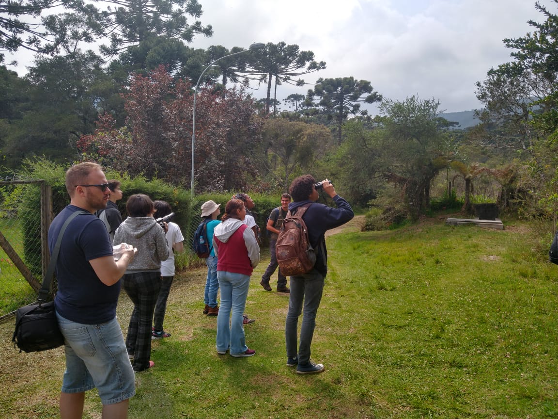 Observação de Aves em Campos do Jordão com a professora Estela de Souza Rossetto IFSP Sertãozinho